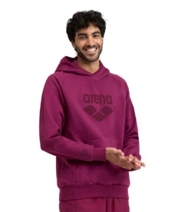 Arena Sweatshirt Logo Hoodie -Speedo Shop 005335 990 HOODEDSWEATLOGO 001