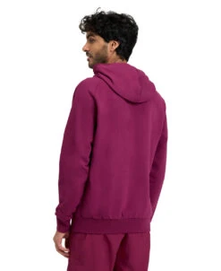 Arena Sweatshirt Logo Hoodie -Speedo Shop 005335 990 HOODEDSWEATLOGO 002