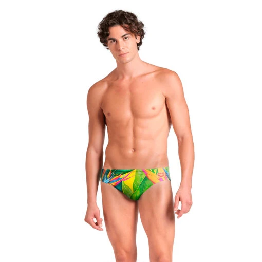Arena Birds Of Paradise Brief