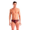 Arena Graphic Brief