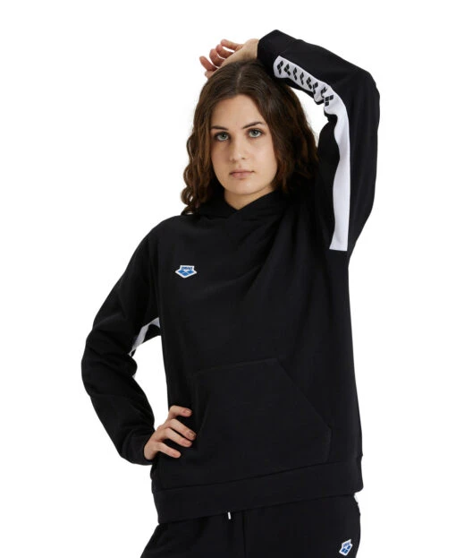 Arena Icons Hooded Sweatshirt Solid