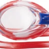 TYR Swimple USA Goggle